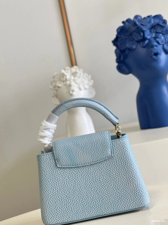 VUITTON CAPUCINES LOUIS MINI 0510